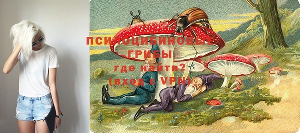 spice Волосово