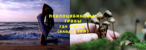 прущие грибы Володарск