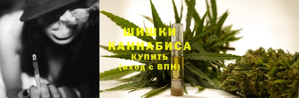 прущие грибы Володарск