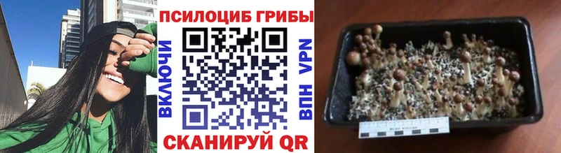 Галлюциногенные грибы Magic Shrooms  Купить где  Иноземцево 
